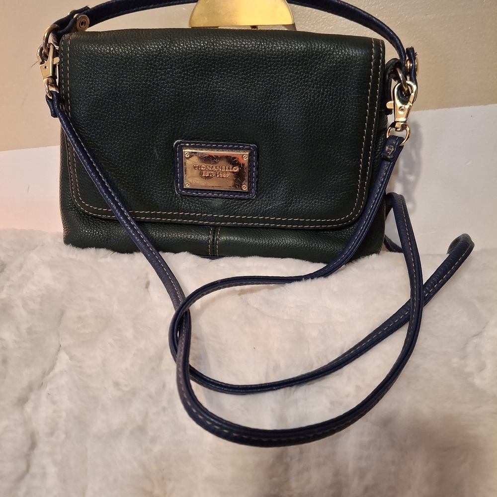 Tignanello Green and Blue Vintage Leather Crossbody Bag 8x6 - Picture 2 of 12